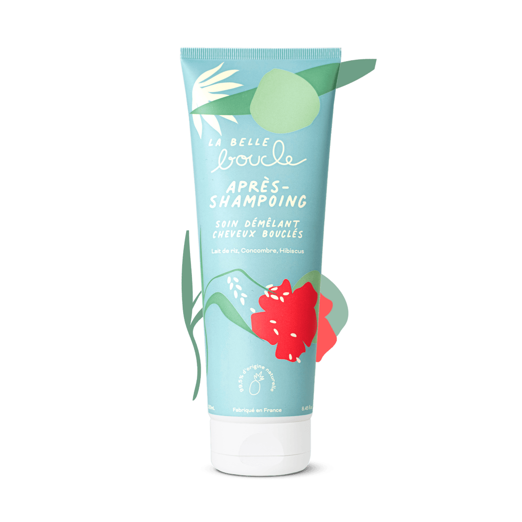 Après-Shampoing Soin Démêlant