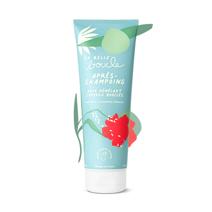 Après-Shampoing Soin Démêlant
