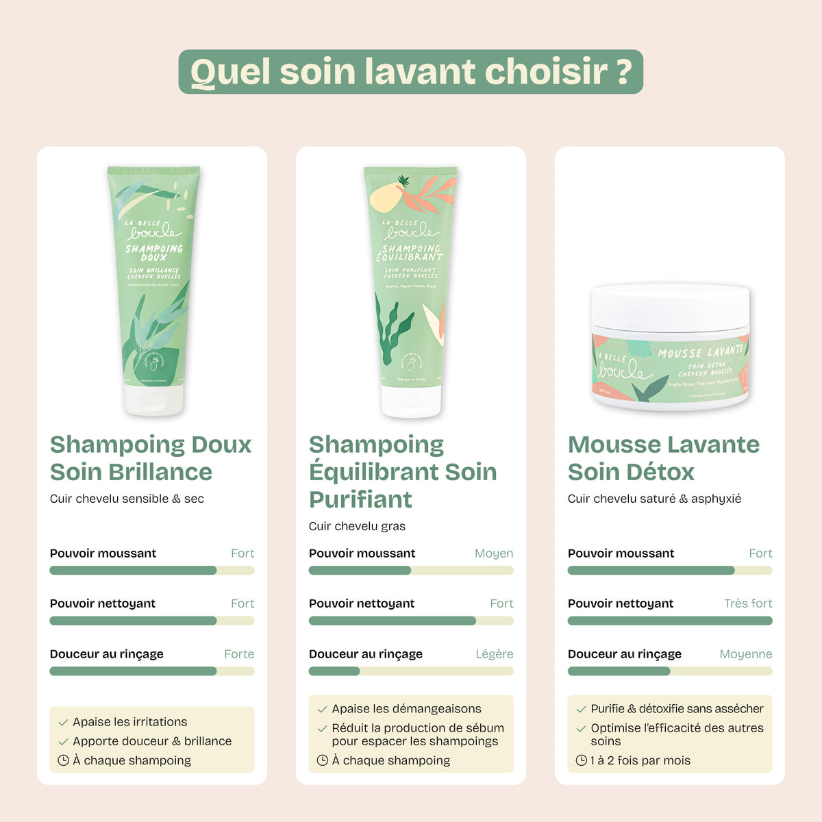Shampoing Équilibrant Soin Purifiant
