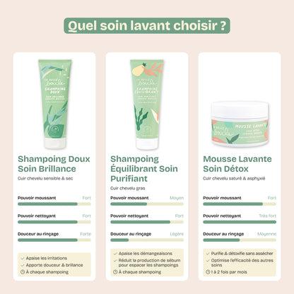 Shampoing Équilibrant Soin Purifiant