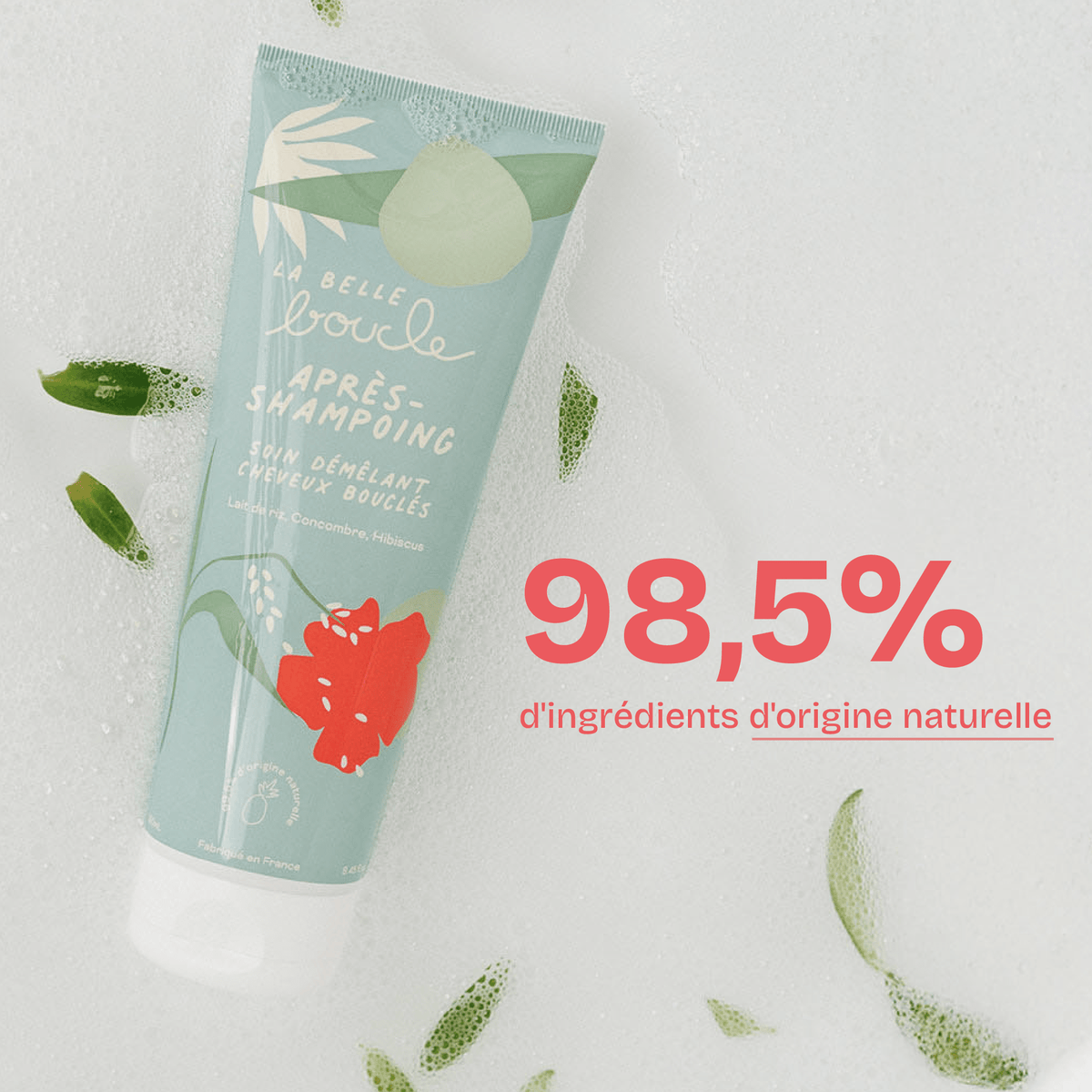 Après-Shampoing Soin Démêlant