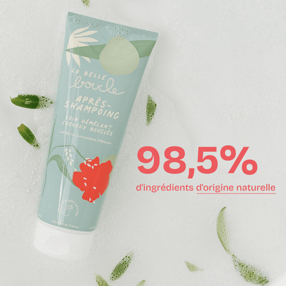 Après-Shampoing Soin Démêlant