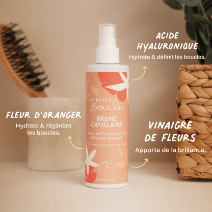Brume Capillaire Soin Anti-Frisottis