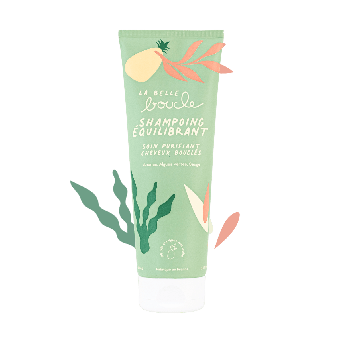 Shampoing Équilibrant Soin Purifiant
